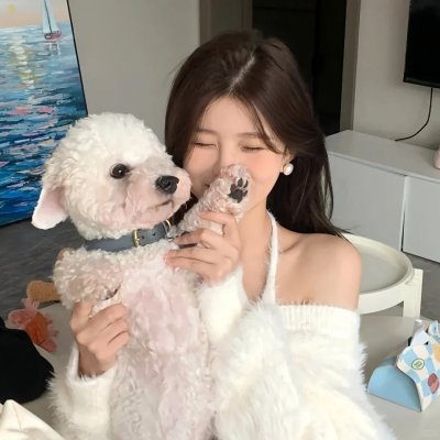 奇谋妙计多仔公